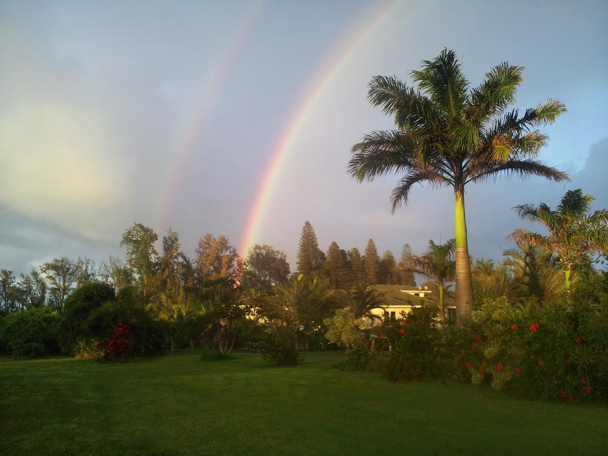 Hawaii Island Retreat At Ahu Pohaku Ho'Omaluhia Villa Kapaau Luaran gambar