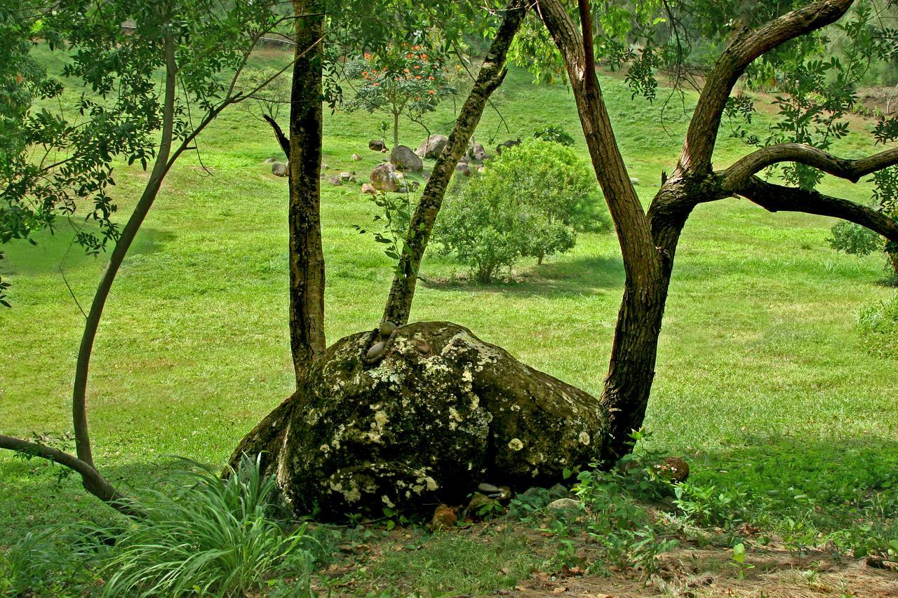 Hawaii Island Retreat At Ahu Pohaku Ho'Omaluhia Villa Kapaau Luaran gambar